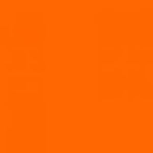 Meet your Posher, Kat